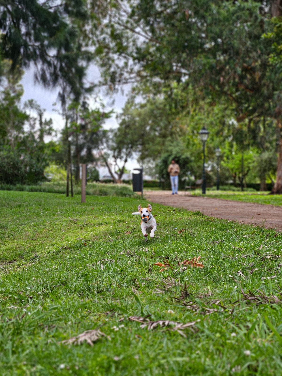 Passeios Individuais